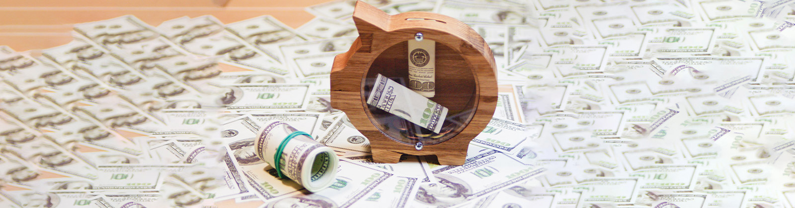 Wooden Piggy Bank and Cash