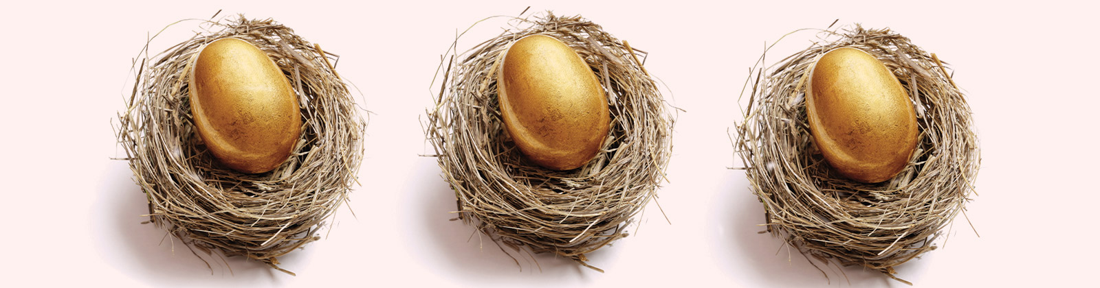 Nest with Gold Eggs